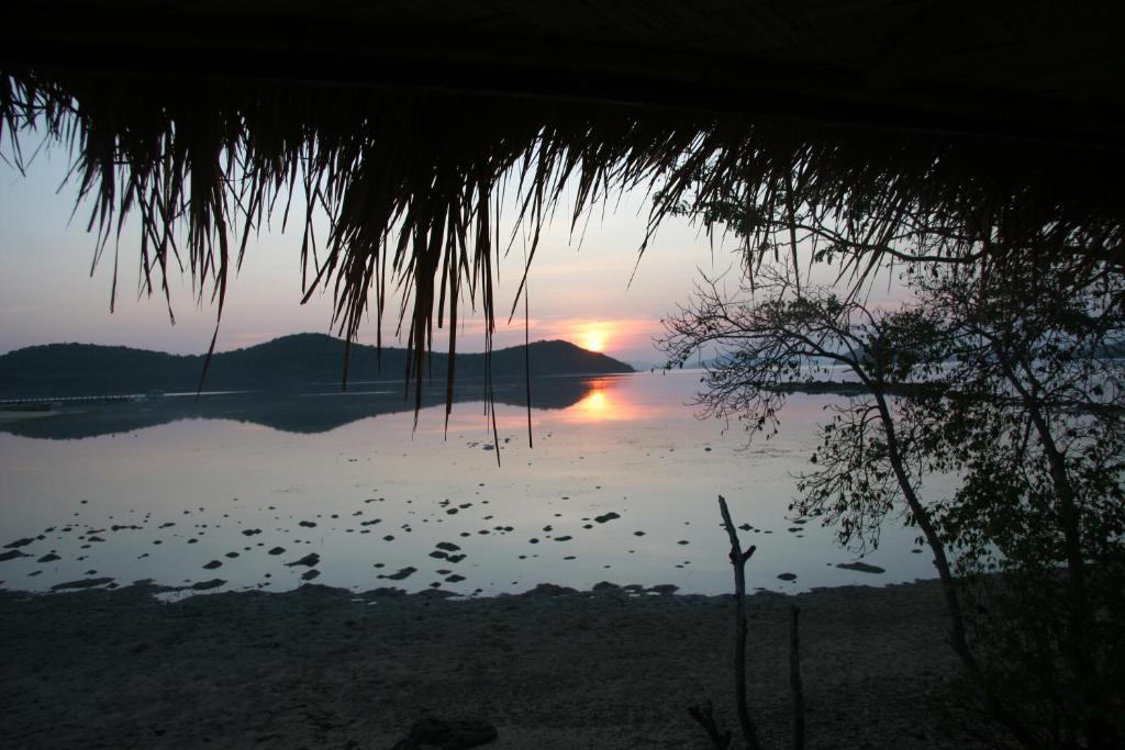 Coral Bay Beach And Dive Resort Busuanga Buitenkant foto