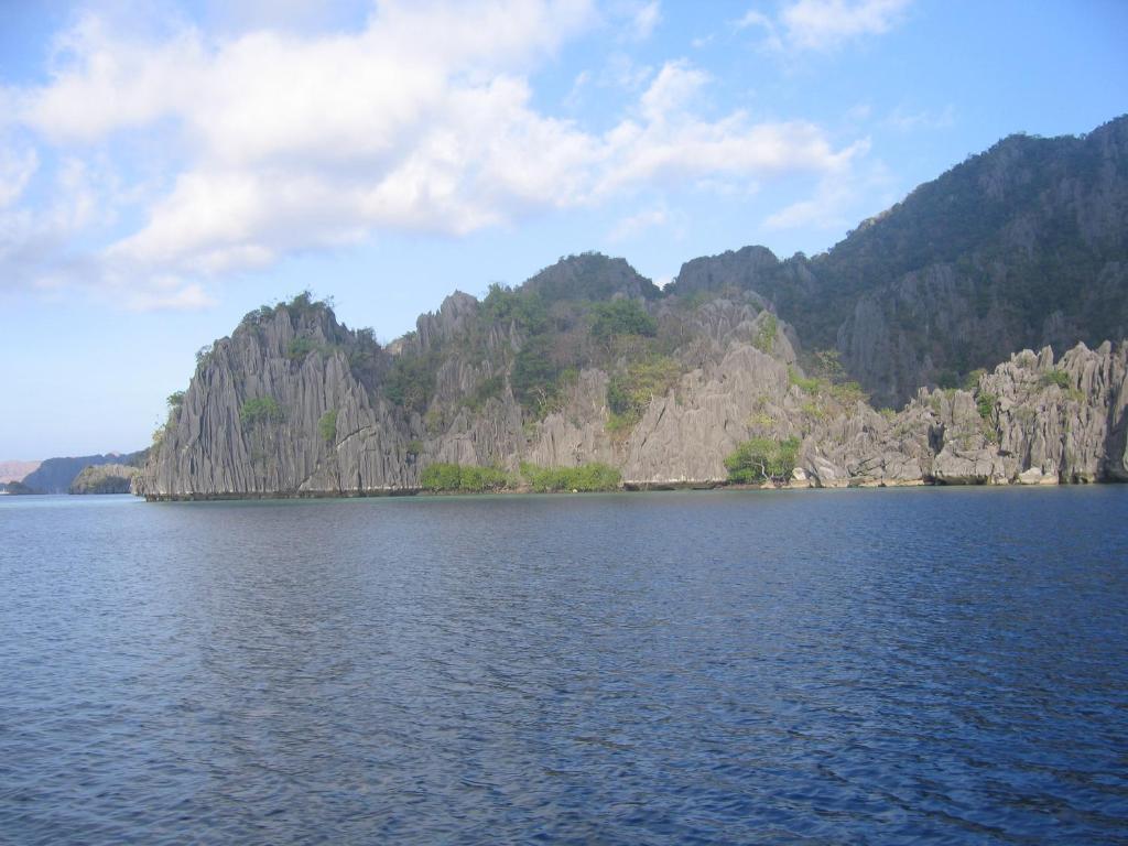 Coral Bay Beach And Dive Resort Busuanga Buitenkant foto