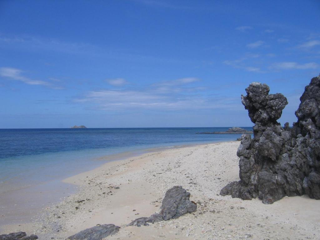 Coral Bay Beach And Dive Resort Busuanga Buitenkant foto