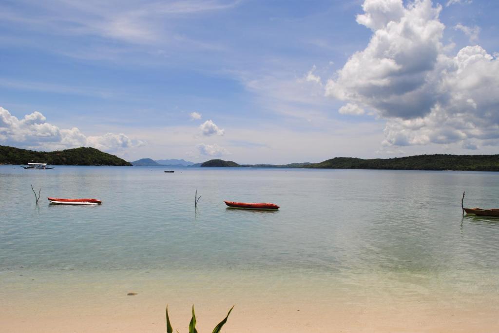 Coral Bay Beach And Dive Resort Busuanga Buitenkant foto