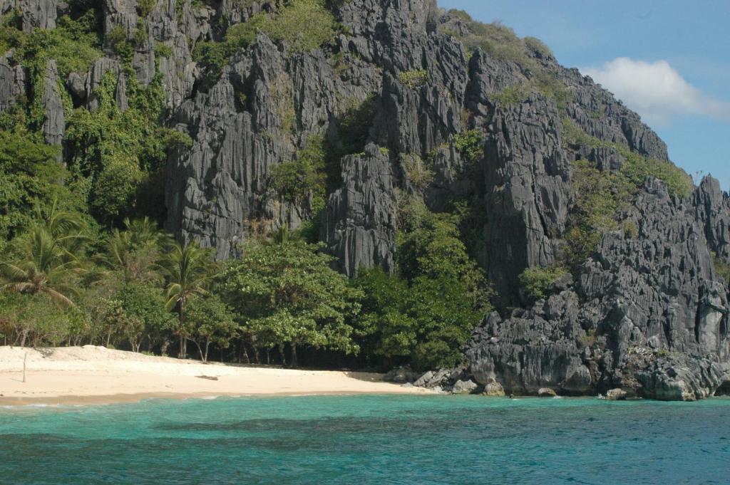 Coral Bay Beach And Dive Resort Busuanga Buitenkant foto