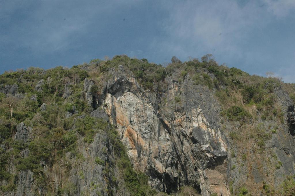 Coral Bay Beach And Dive Resort Busuanga Buitenkant foto